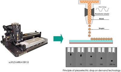 Direct-Write Bioprinting Approach to Construct Multilayer Cellular Tissues